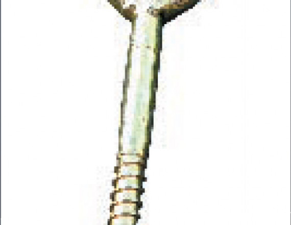 Szemes csavar
